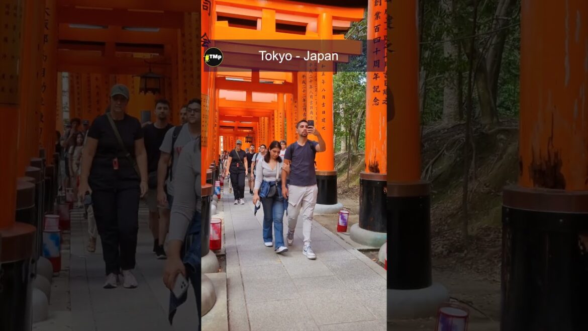 Tokyo, Japan, city tour. #TokyoCityTour, #JapanTravelTips, #SushiLoversUnite, #NeonDreams Tokyo, Japan, city tour. #TokyoCityTour, #JapanTravelTips, #SushiLoversUnite, #NeonDreams