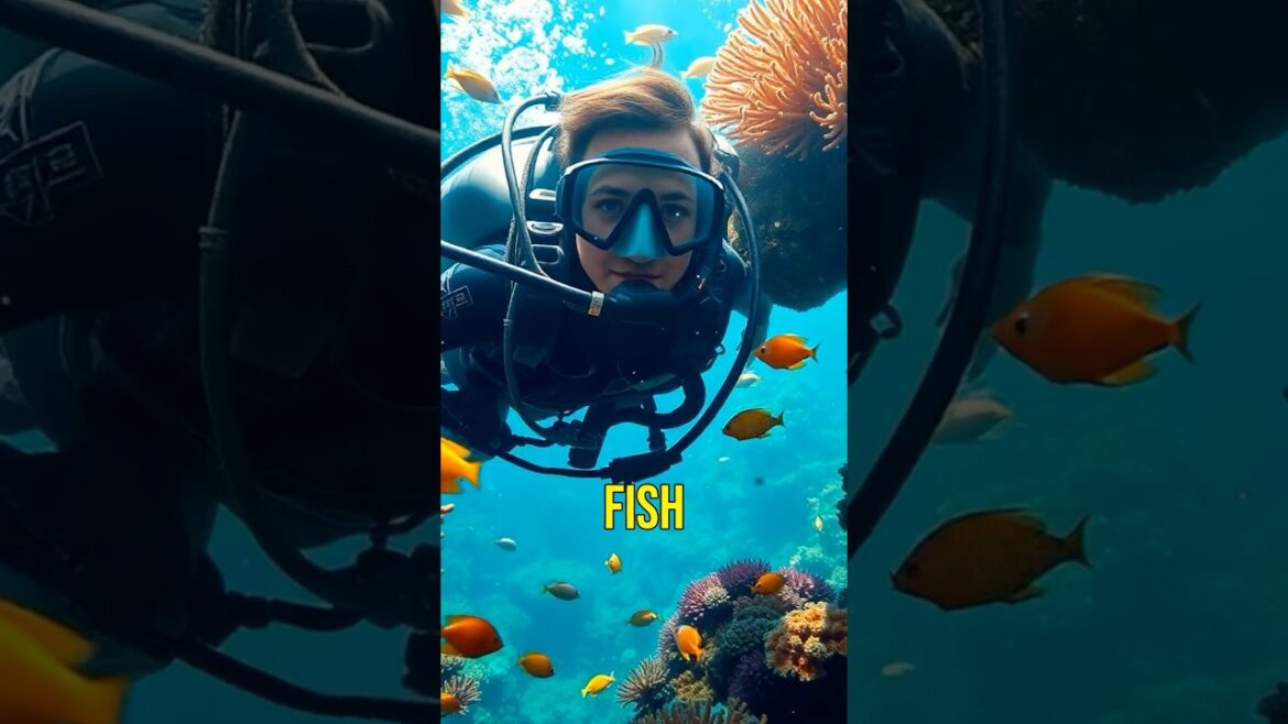 #1 Adventure Awaits in Okinawa: Japan’s Marine Paradise! #33 #japan #travel #okinawa #marinesports #1 Adventure Awaits in Okinawa: Japan's Marine Paradise! #33 #japan #travel #okinawa #marinesports