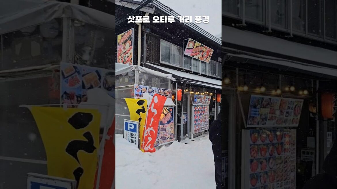 삿포로 오타루 거리 풍경 #삿포로여행 #홋카이도여행 #겨울여행 #가족여행 #오타루 #비에이