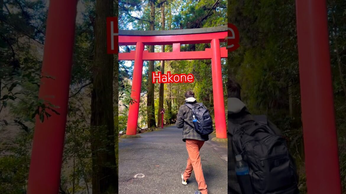 One Special Day Trip to Hakone ⛰️⛩️