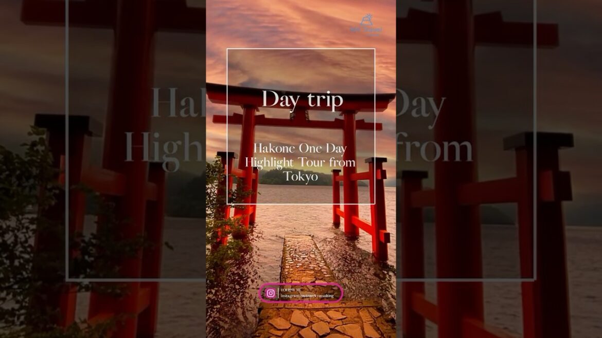 ☆DayTrip☆ Hakone One Day Highlight Tour from Tokyo ☆DayTrip☆ Hakone One Day Highlight Tour from Tokyo