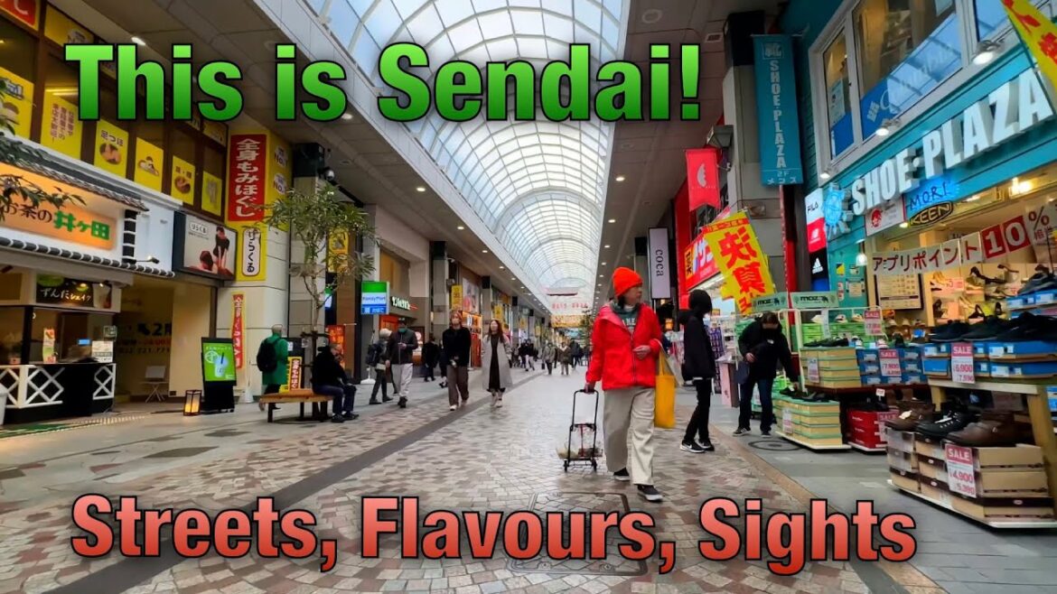 What's It REALLY Like to Wander Sendai?