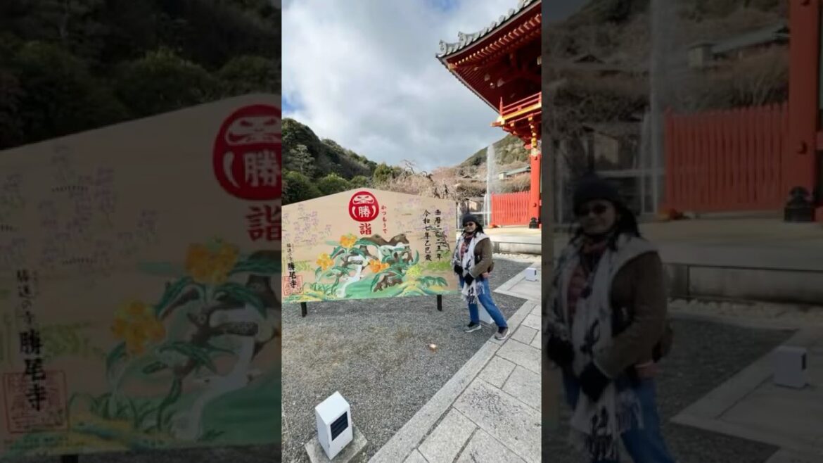 Chasing success at #Katsujitemple 🙏 #TempleOfWinningLuck #DarumaDoll #GoodFortune #osaka #japan Chasing success at #Katsujitemple 🙏 #TempleOfWinningLuck #DarumaDoll #GoodFortune #osaka #japan