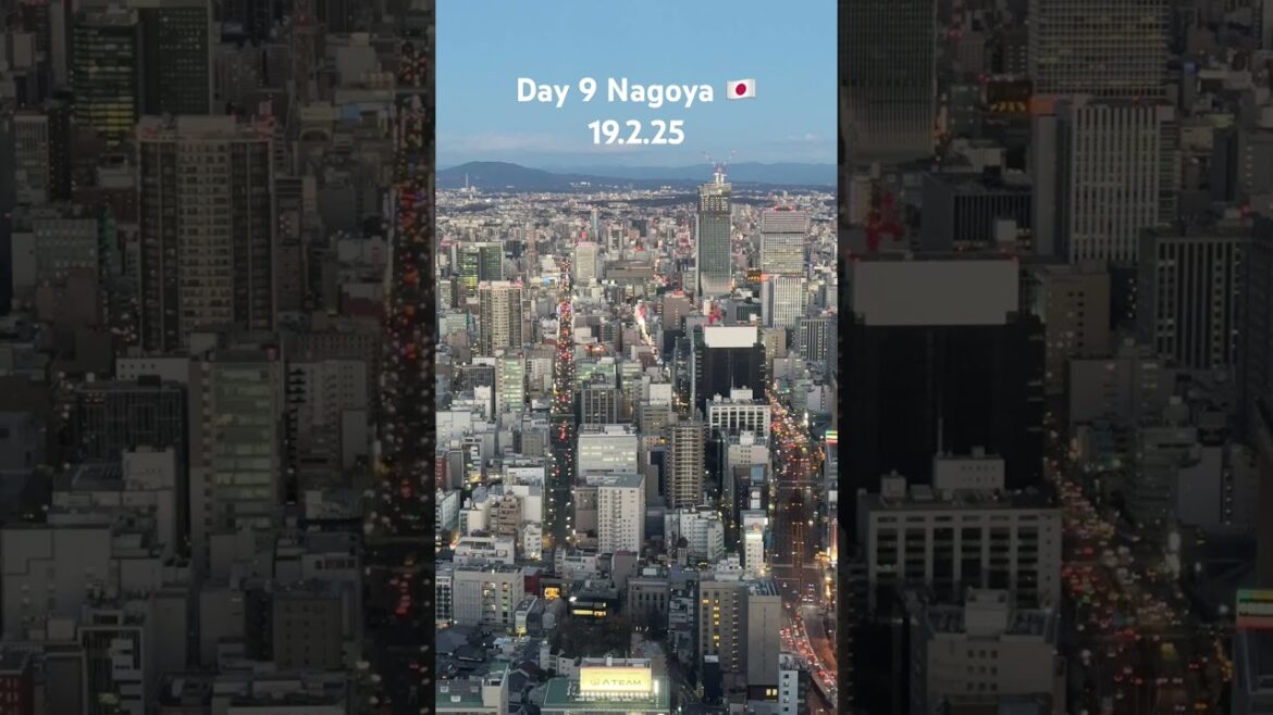 #Japan 🇯🇵 trip 2025 Day9 #Nagoya #skypromanade #hitsumabushi #japanshorts #eel #toyotacars