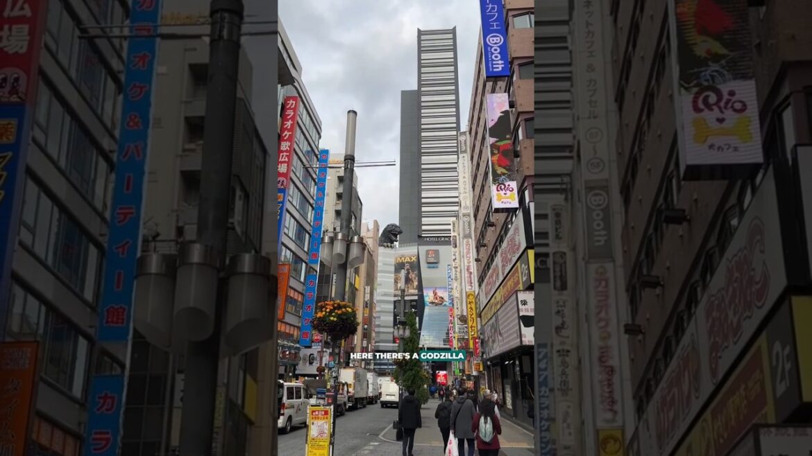 WOW – What an entrance into Tokyo! 🤩 Japan Travel Vlog 🇯🇵 #japan #japantravel #travelvlog WOW - What an entrance into Tokyo! 🤩 Japan Travel Vlog 🇯🇵 #japan #japantravel #travelvlog