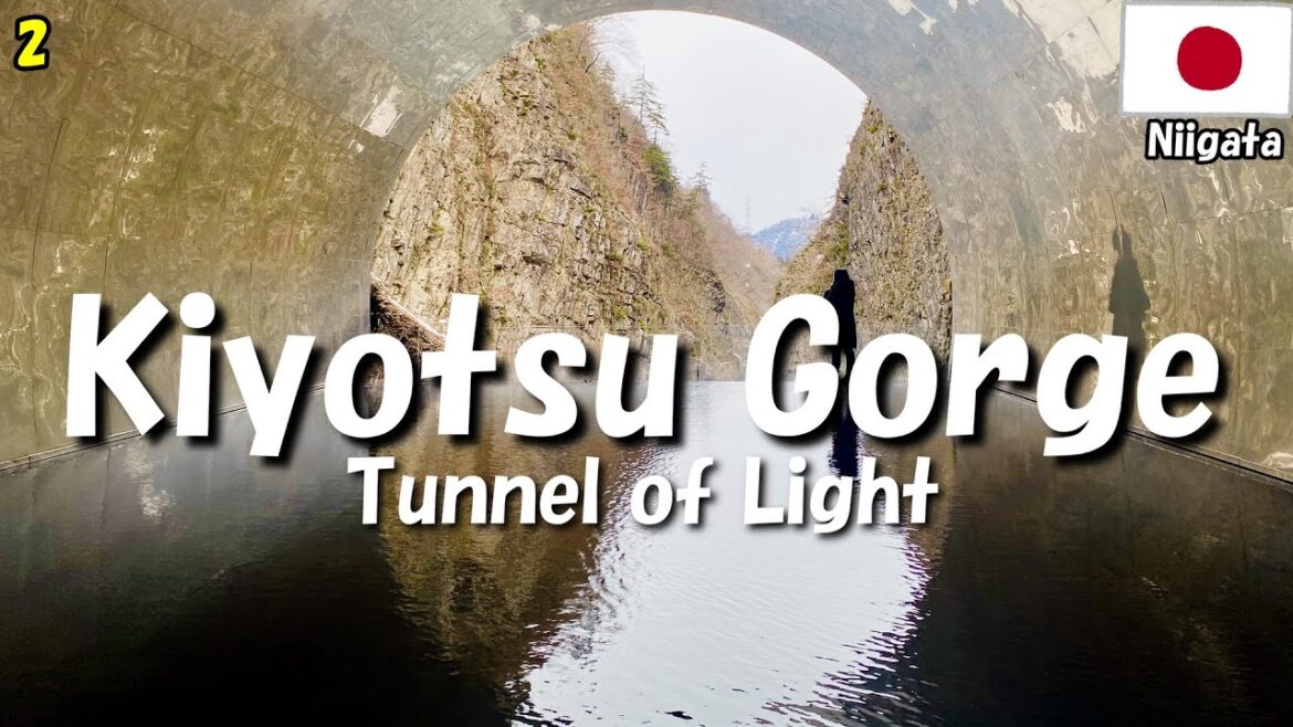 【Niigata trip 2024】ep2 A fun-filled trip including sake breweries, Kiyotsu Gorge, and OYKOT train.