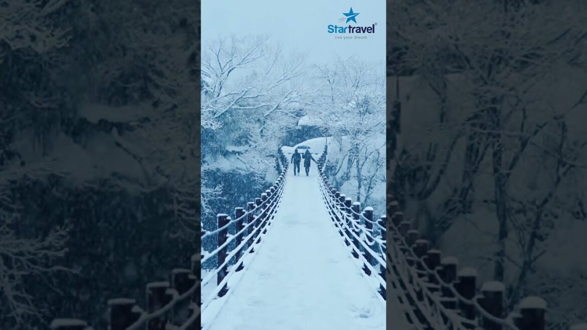 Hành trình cảm nhận Nhật Bản từ Đông rồi sang Xuân Hành trình cảm nhận Nhật Bản từ Đông rồi sang Xuân