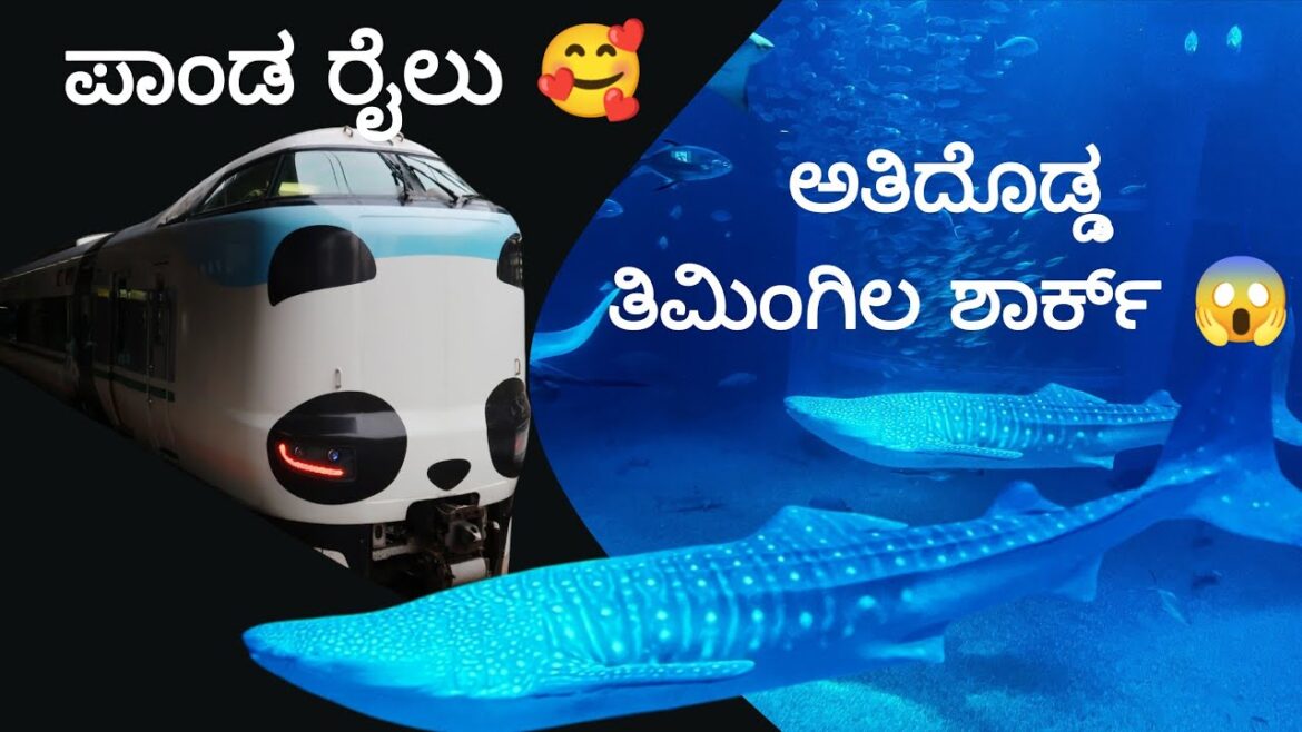 ಜಪಾನ್ ನ ಒಸಾಕಾದಲ್ಲಿ ಒಂದು ದಿನ: Aquarium, Tsūtenkaku, Kura Sushi & More | Osaka | Japan Travel Vlog ಜಪಾನ್ ನ ಒಸಾಕಾದಲ್ಲಿ ಒಂದು ದಿನ: Aquarium, Tsūtenkaku, Kura Sushi & More | Osaka | Japan Travel Vlog