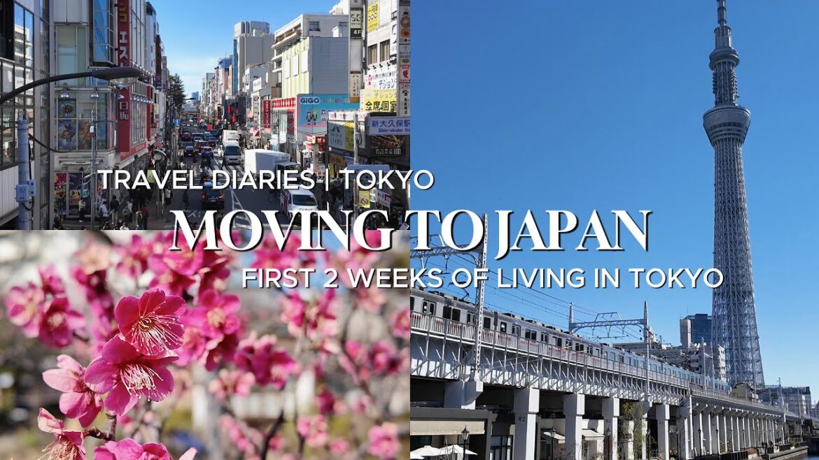 Moving to Japan: First two weeks in Tokyo