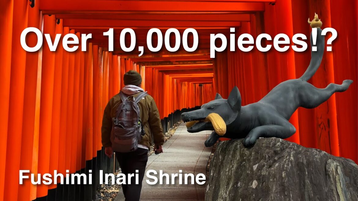 【Fushimi Inari Shrine】Over 10,000 pieces! ?Pass through the torii tunnel