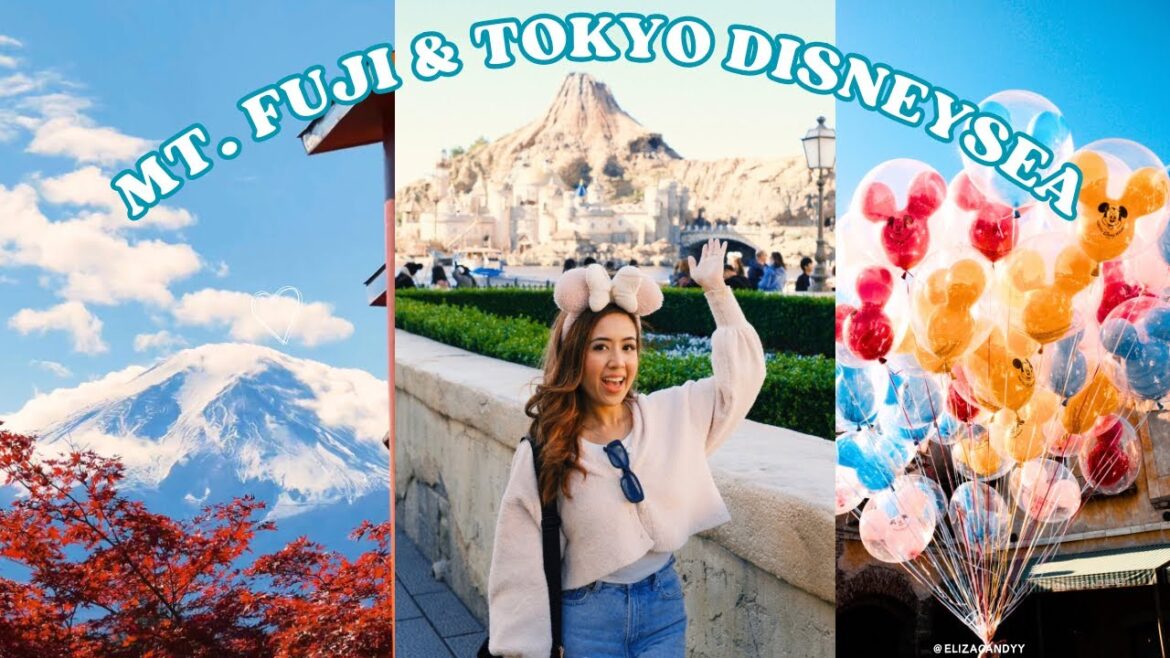 JAPAN TRAVEL DIARY| mt. fuji tour & spending the day at disneysea