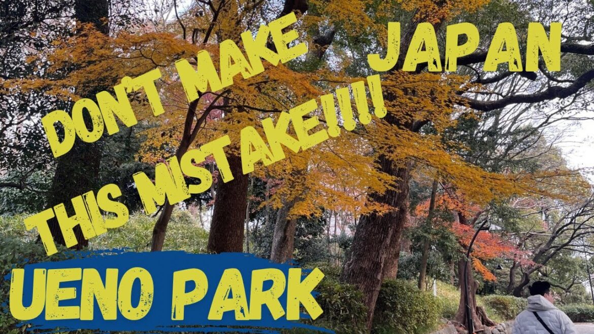 Ueno Park Tokyo | Watch this Video before Going. Don’t make the same mistake!!