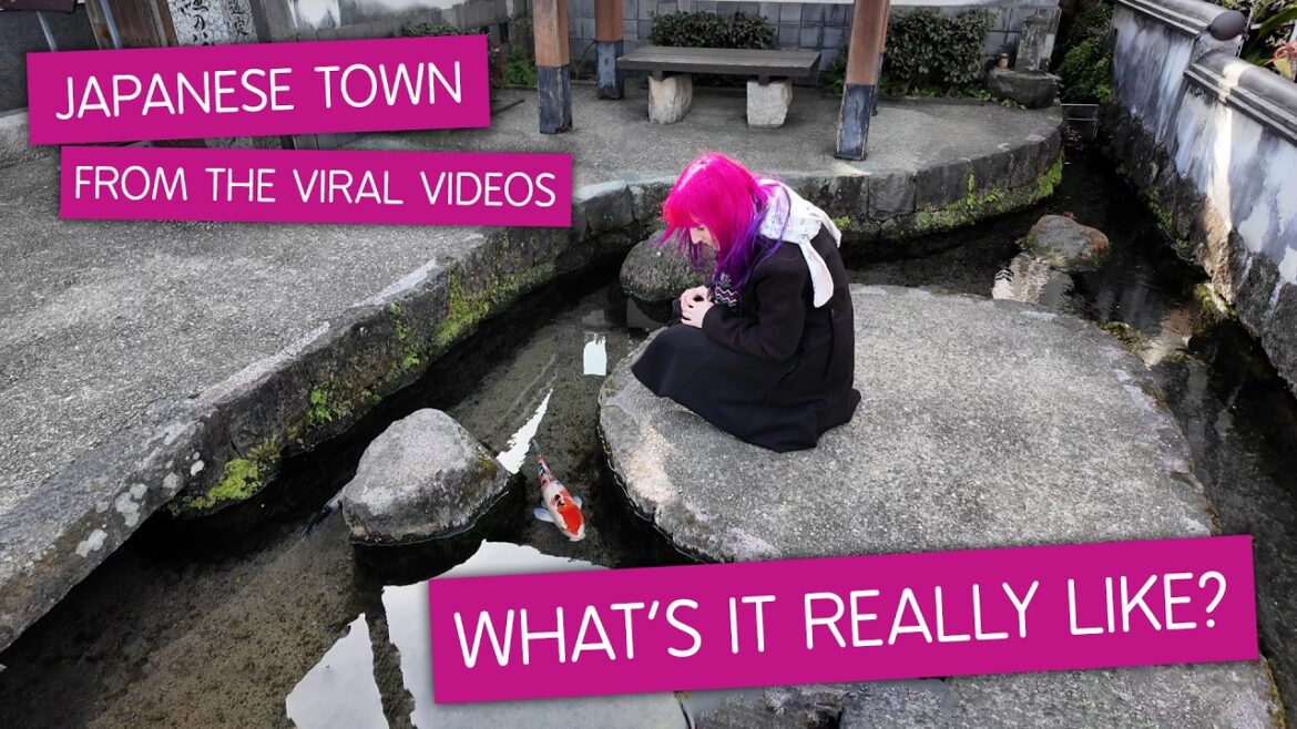 Shimabara: City of Swimming Carp 🎏 Off the Beaten Track in Kyushu, Japan (Kumamoto Day Trip)