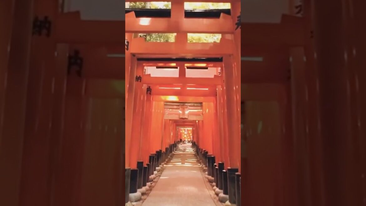 Tokyo, Japan: Top Places to Visit in 2025 #tokyo #japan #travel #shinjuku #shibuyacrossing