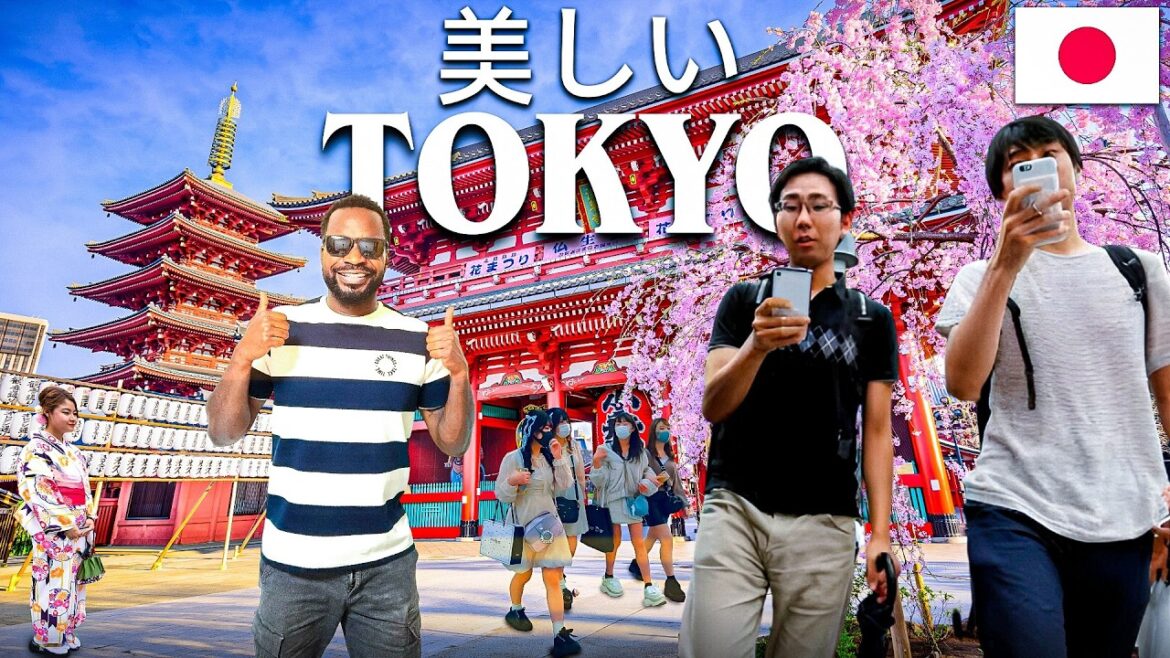 Tokyo’s AMEYOKO MARKET And Streets And Local Shops! 🇯🇵 Japan Style!