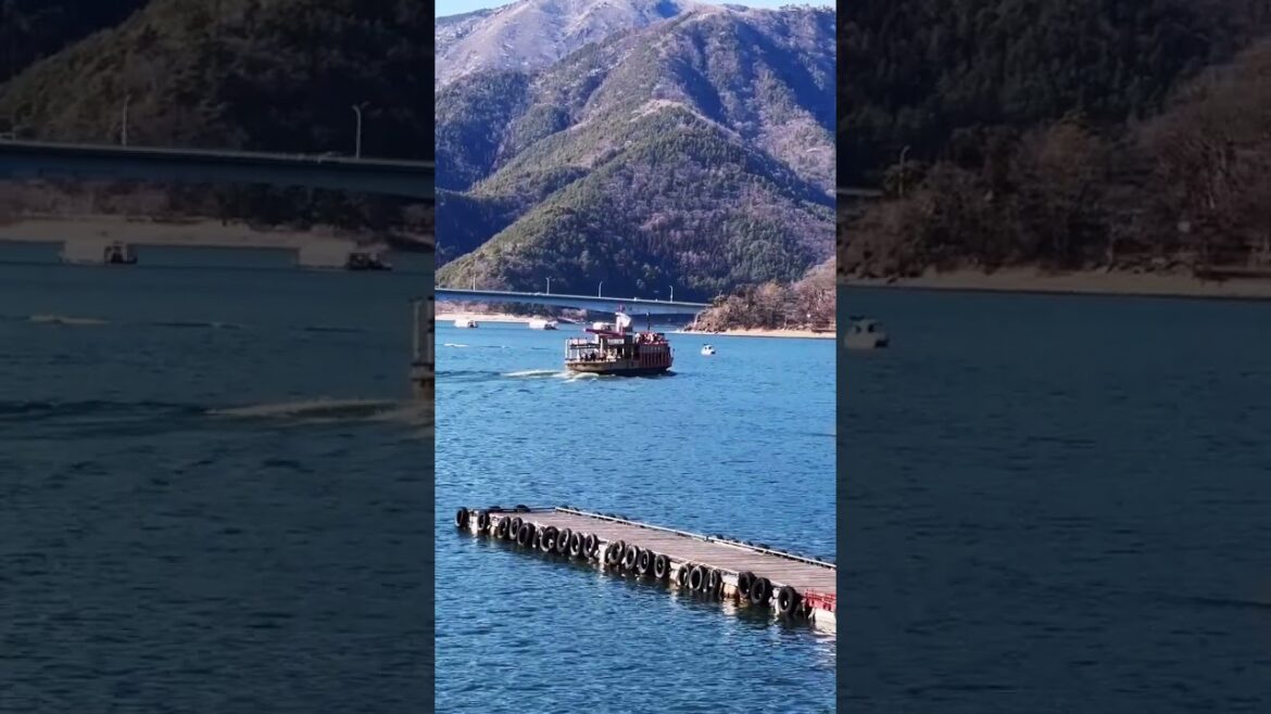 Cruise Lake sightseeing and Swan boating at Lake Kawaguchi.