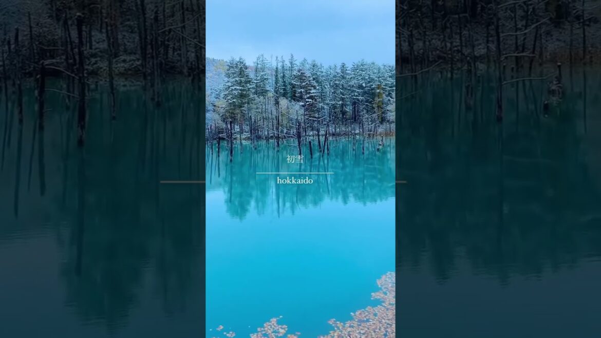 This is the Shirogane Blue Pond in Hokkaido #japan