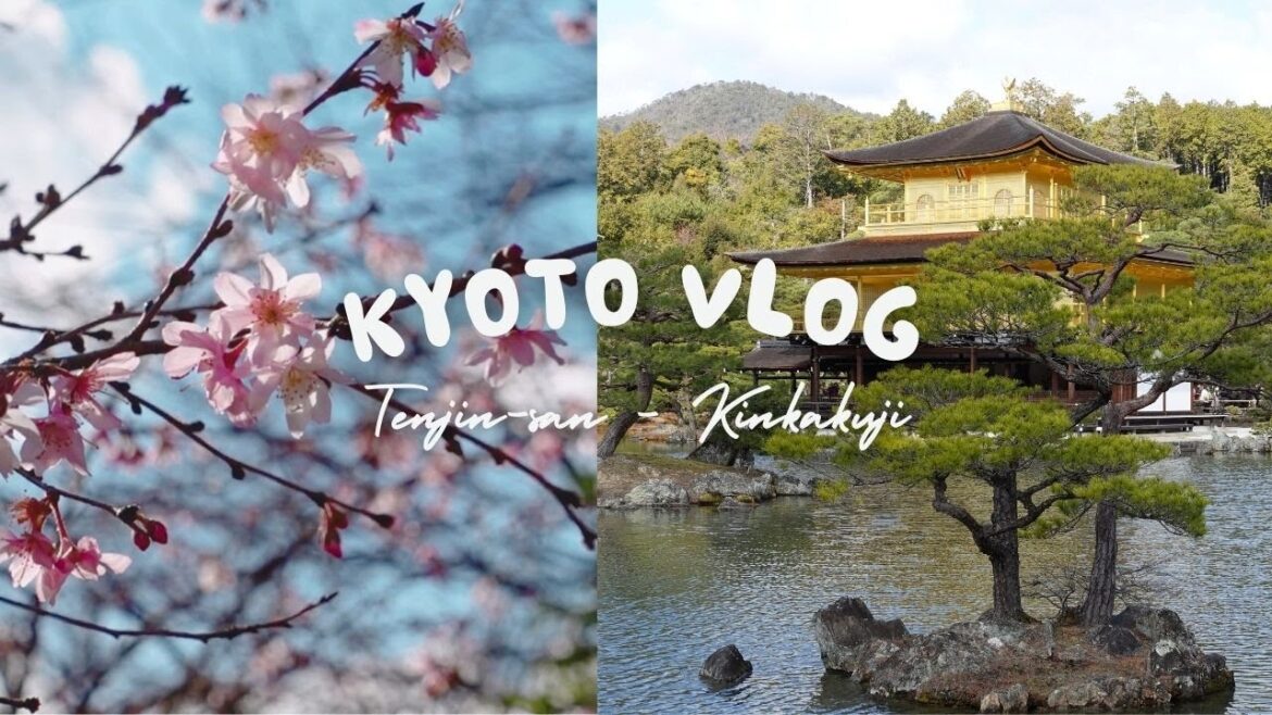 Kyoto Vlog ๐ฏ๐ต Early Sakura Tenjin-San Market, Kinkakuji, Kitano Tenmagu Shrine, Shopping Kyoto Vlog ๐ฏ๐ต Early Sakura Tenjin-San Market, Kinkakuji, Kitano Tenmagu Shrine, Shopping