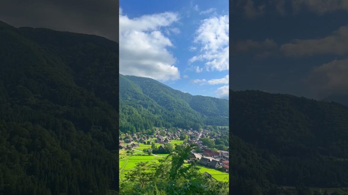 Beautiful Shirakawago (Japan) #nature #travel #shorts