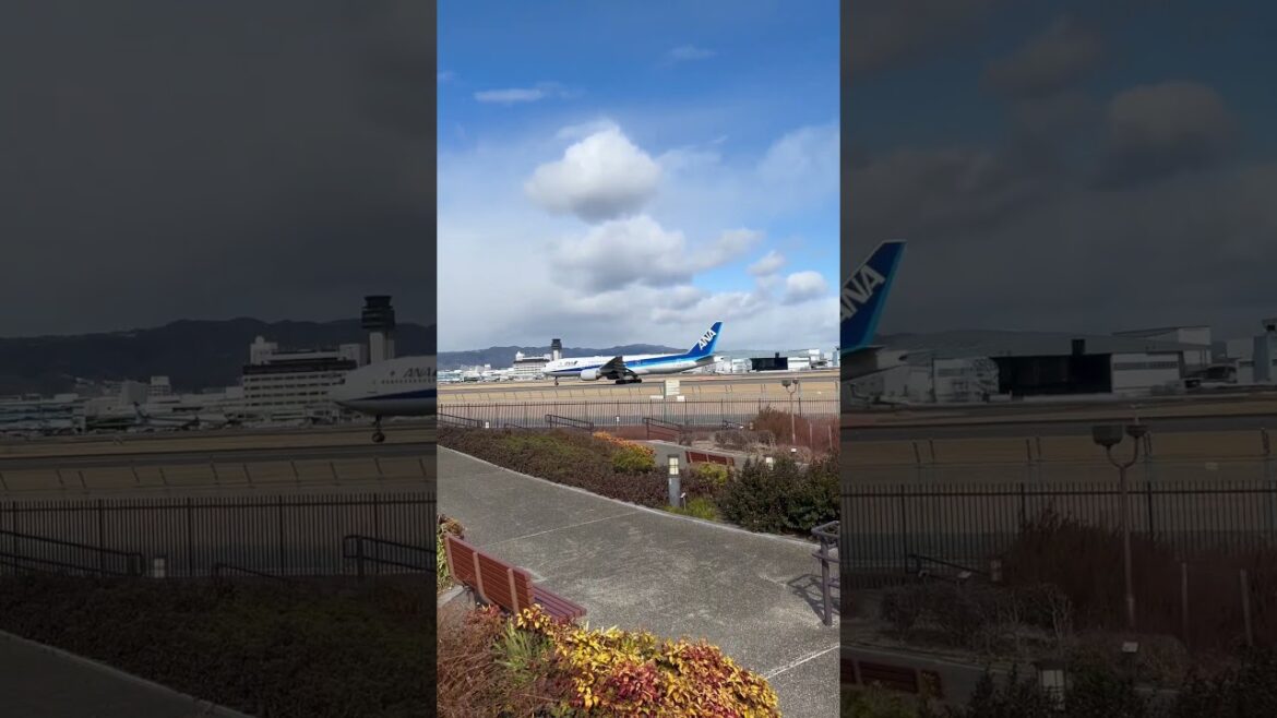 【OSAKA】Everyday Common Scene – Itami Sky Park 【OSAKA】Everyday Common Scene - Itami Sky Park