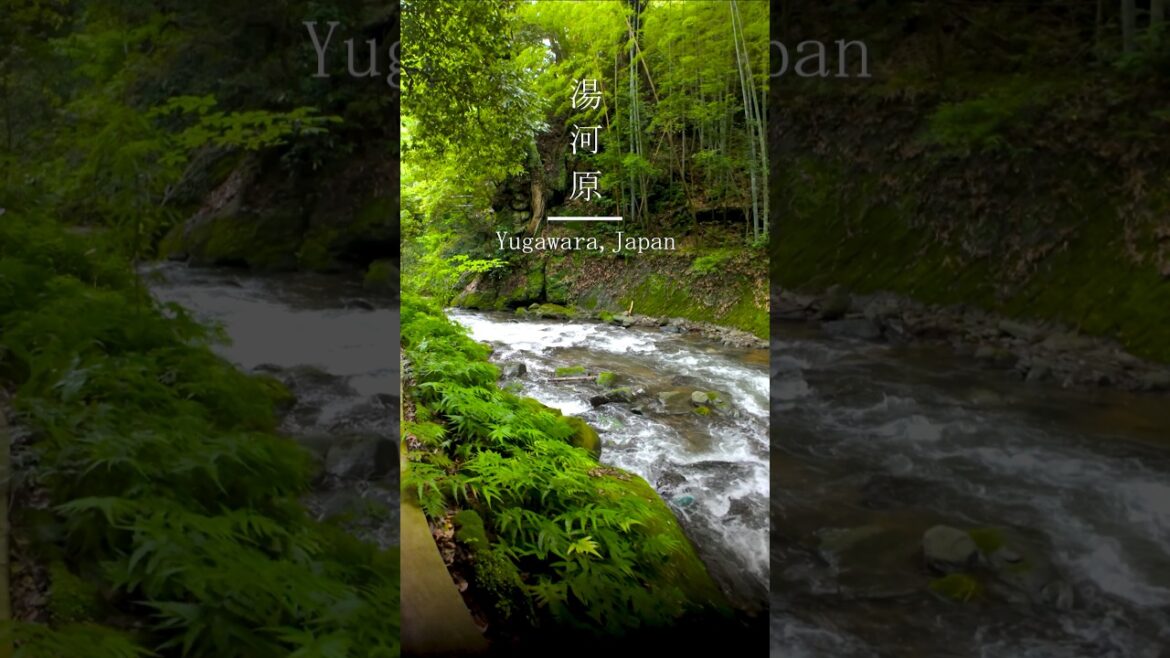 【湯河原VLOG】 都心からアクセス抜群の湯河原温泉へ旅行に行ってきました！✨ #湯河原 #vlog #神奈川 #観光  #旅行  #絶景  #景色  #グルメ  #travel