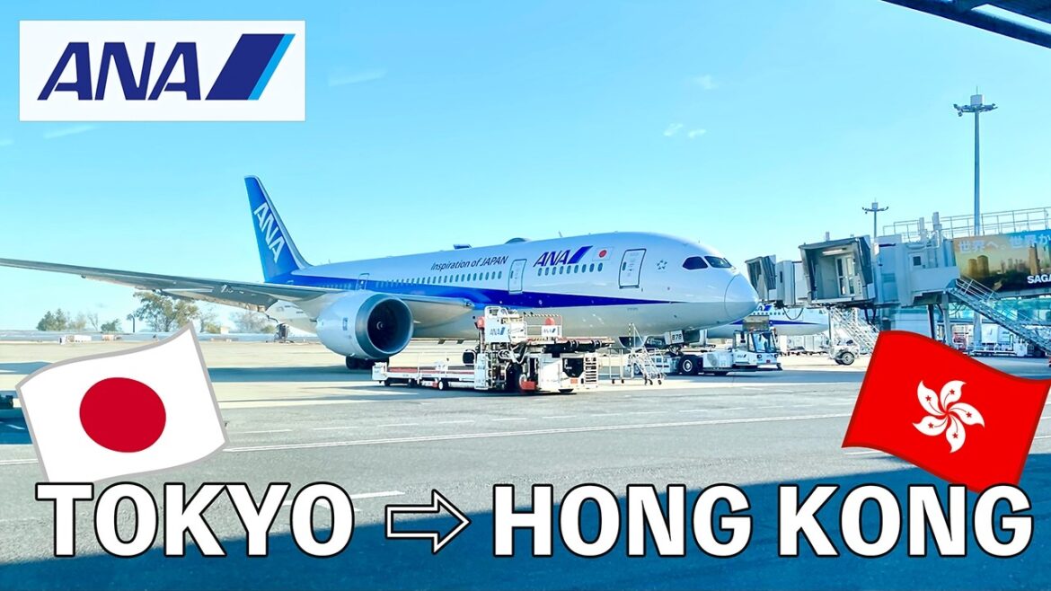 ANA(economy) Flight from Osaka (KIX) - Tokyo (Haneda) - Hong Kong｜In-flight Meal Review