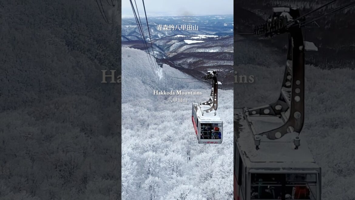 世界級奇景！青森八甲田山樹冰超震撼！有夠冷～ #shorts #青森 #八甲田山 #樹冰 #日本旅行