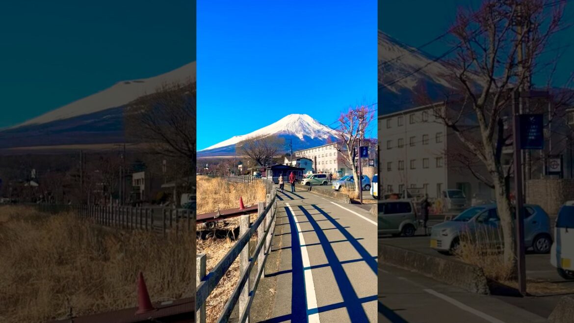 今日の富士山