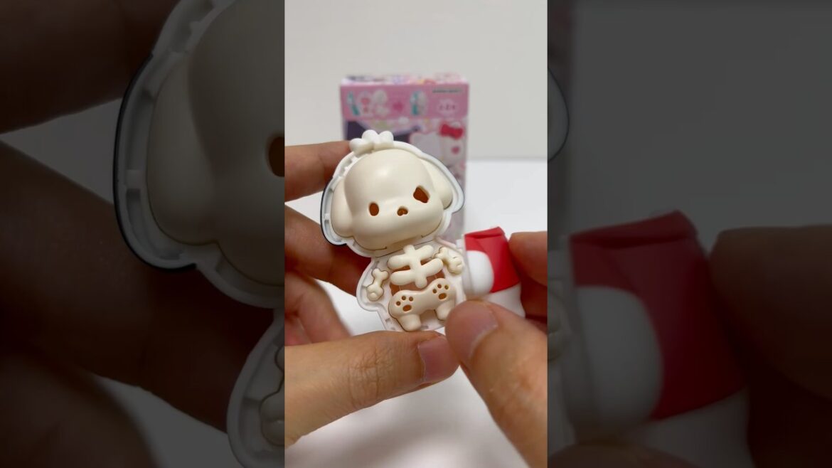 Sanrio Characters Anatomy Kaitai Puzzle Fantasy Pochacco Japan Souvenir #shorts