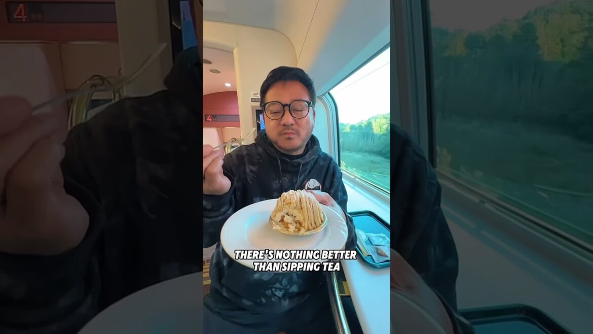 $30 Luxury Japan Train