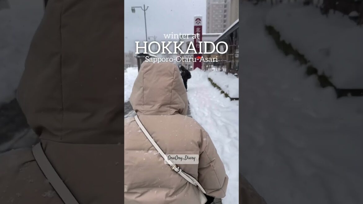 ☃️🎄#japan #jepang #vlog #travel #winter #salju #snow #hokkaido #sapporo #otaru #ideas #tips #trip