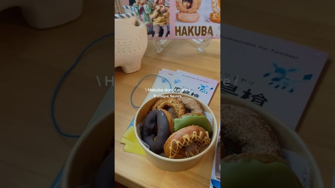 Hakuba Donut spot! #donut #hakuba #ski