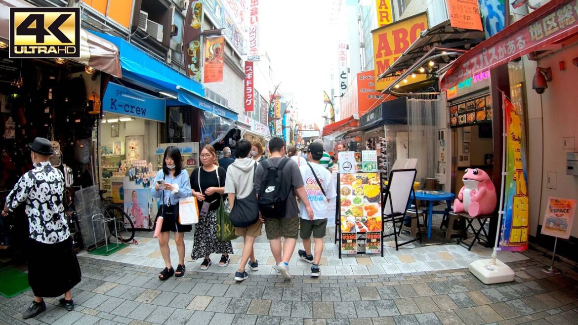 Walking Through Tokyo’s Most AMAZING Shopping & Street Food District | UENO AMEYOKO Tokyo Japan Walking Through Tokyo's Most AMAZING Shopping & Street Food District | UENO AMEYOKO Tokyo Japan