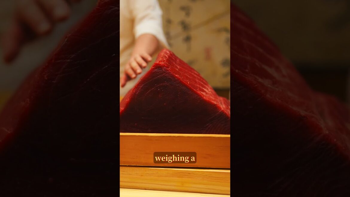 What a 500 pound bluefin tuna looks like as sushi