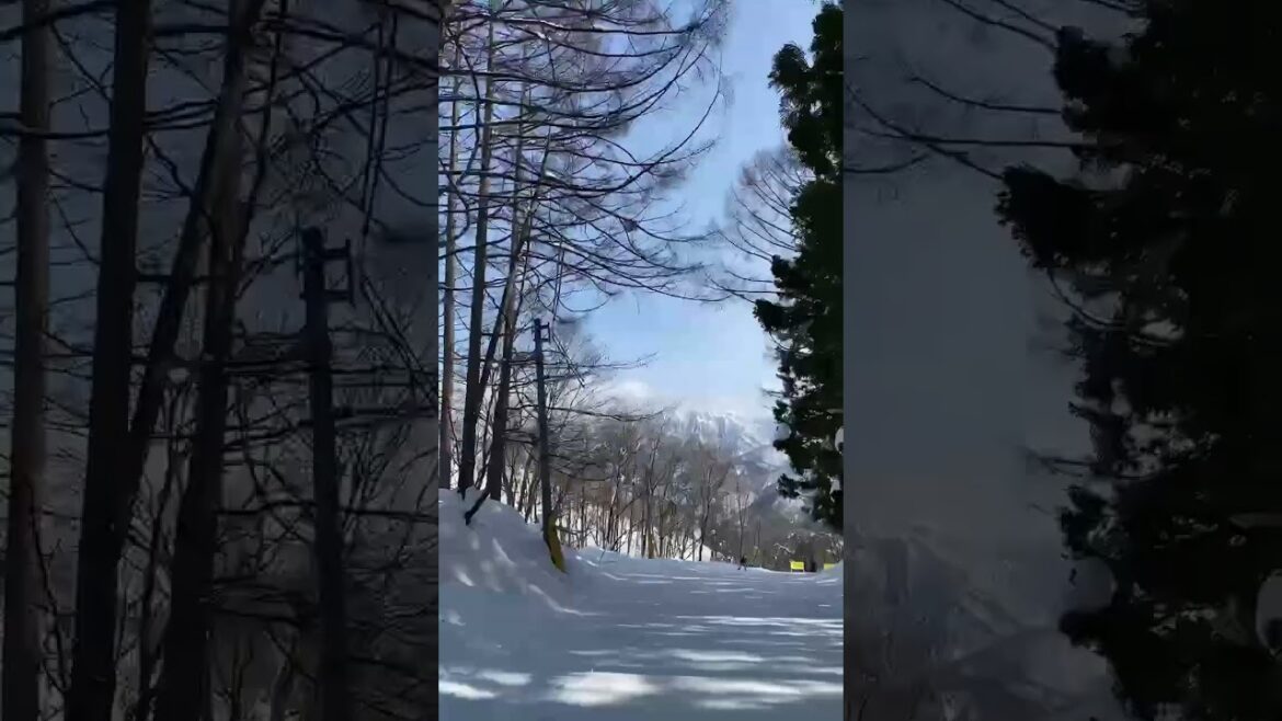 【JAPAN】Winter is Ski Season! - Hakuba