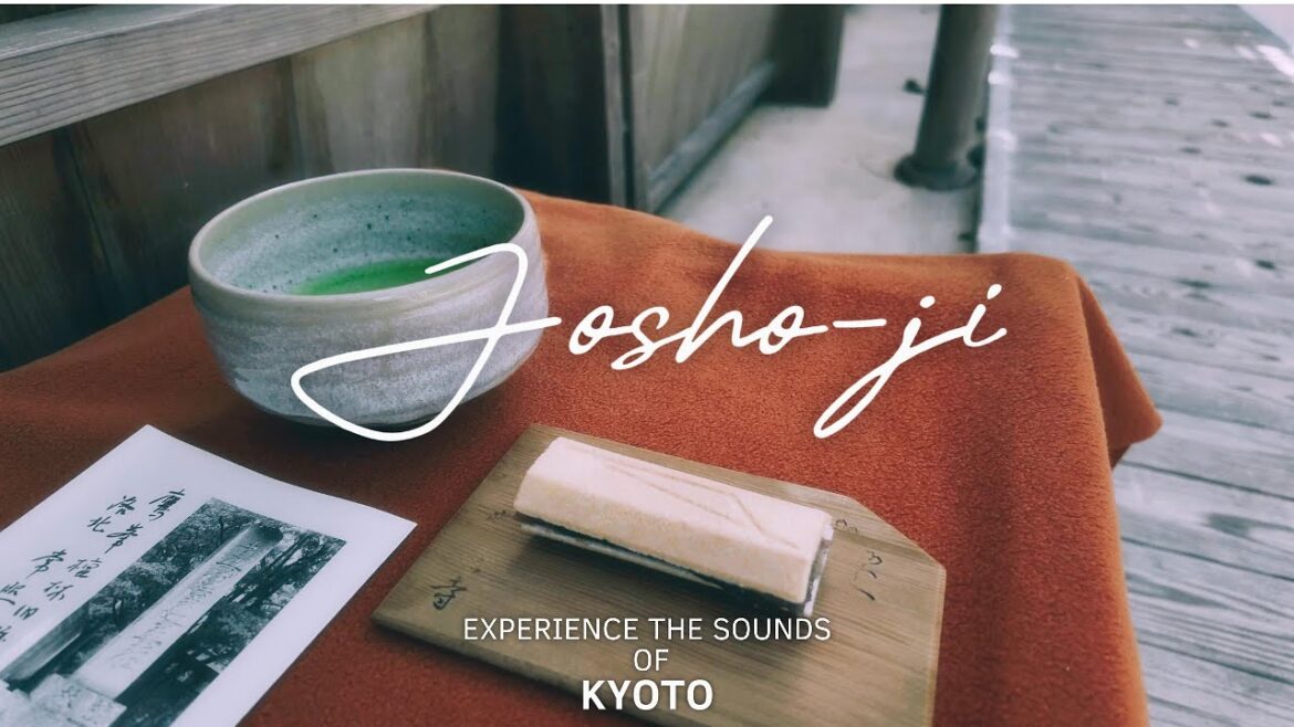 京都 常照寺 A Relaxing Kyoto Experience: Matcha, Sweets & Jōshō-ji Temple Walk