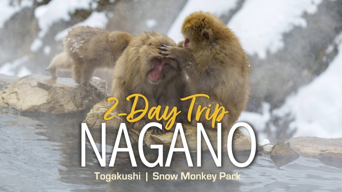 2025 Japan Part 2 - Nagano