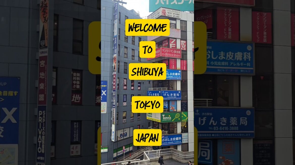 SHIBUYA, TOKYO, JAPAN #shorts #travel #tokyo #japan