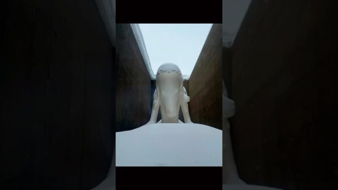 青森縣立美術館｜奈良美智｜青森犬｜青森 ｜あおもり犬｜Aomori Museum of Art｜冬天好大雪｜