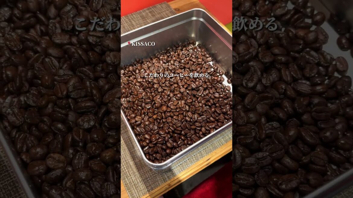 【鹿児島観光】地元民もテンション上がる‼︎天文館で穴場だらけの1日観光プラン#shorts 【鹿児島観光】地元民もテンション上がる‼︎天文館で穴場だらけの1日観光プラン#shorts