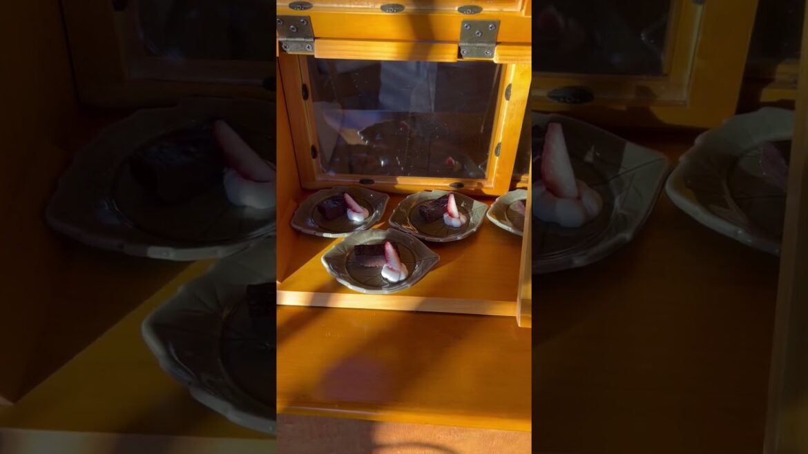 Terrace Cafe at Yaizu Grand Hotel, Shizuoka #shorts #japan #yaizugrandhotel Terrace Cafe at Yaizu Grand Hotel, Shizuoka #shorts #japan #yaizugrandhotel