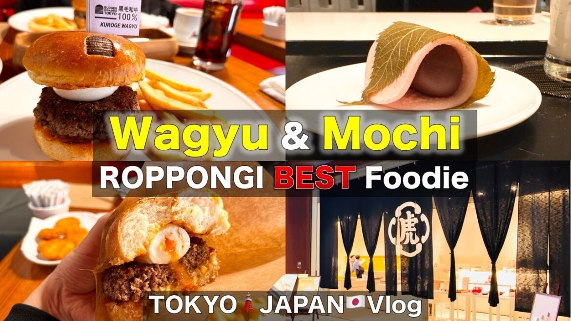 4K#47- 49 Enjoyed the best wagyu Japanese beef, Mochi wagashi sweets and to go in Roppongi.  #vlog
