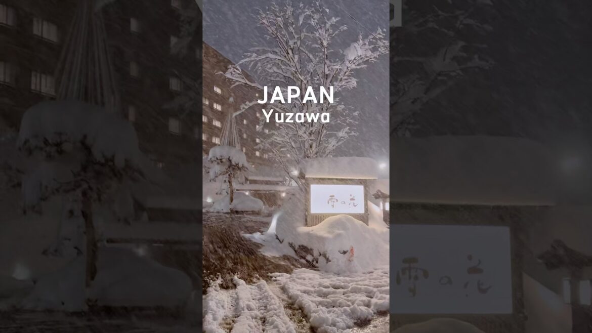 湯けむりの宿 雪の花