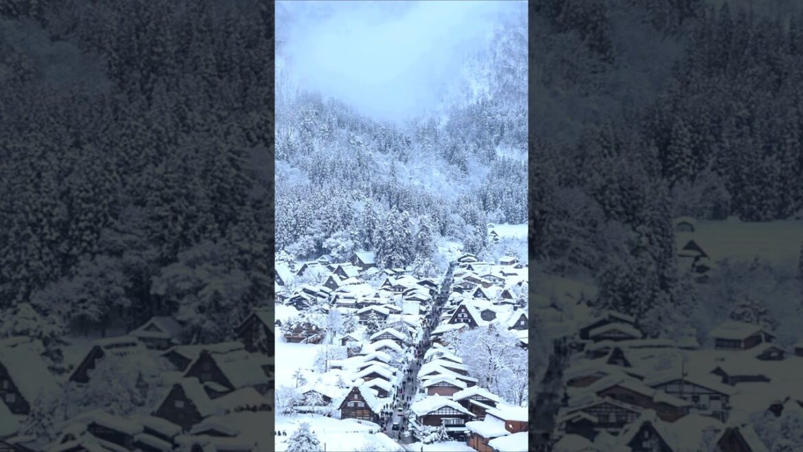 Places in Japan that don't Feel Real #shorts