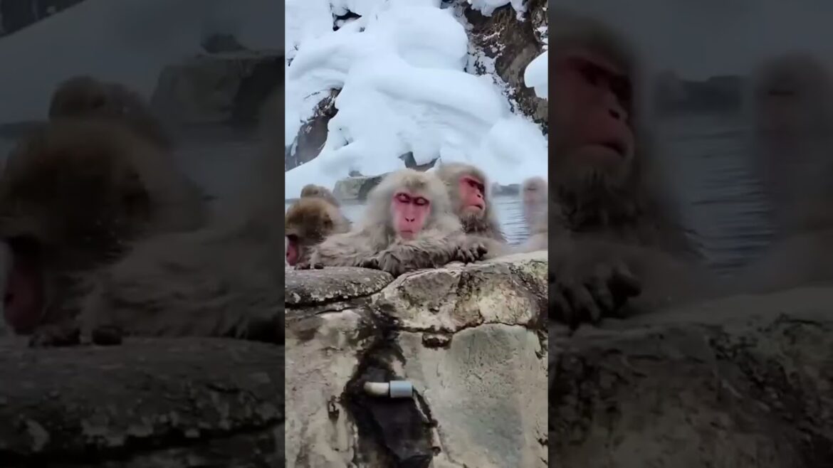 Places on Earth That Don’t Feel Real😱 – Japan Edition