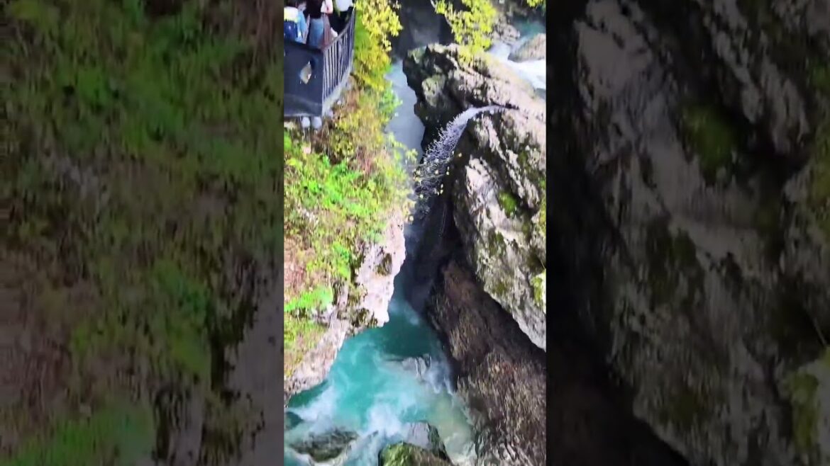 #waterfall #water #batumi #georgia #travel #travelblog #fall #naturelover #solo #travelvlog #short