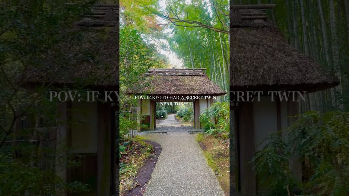 This is not Kyoto. This place is ???｜JNTO