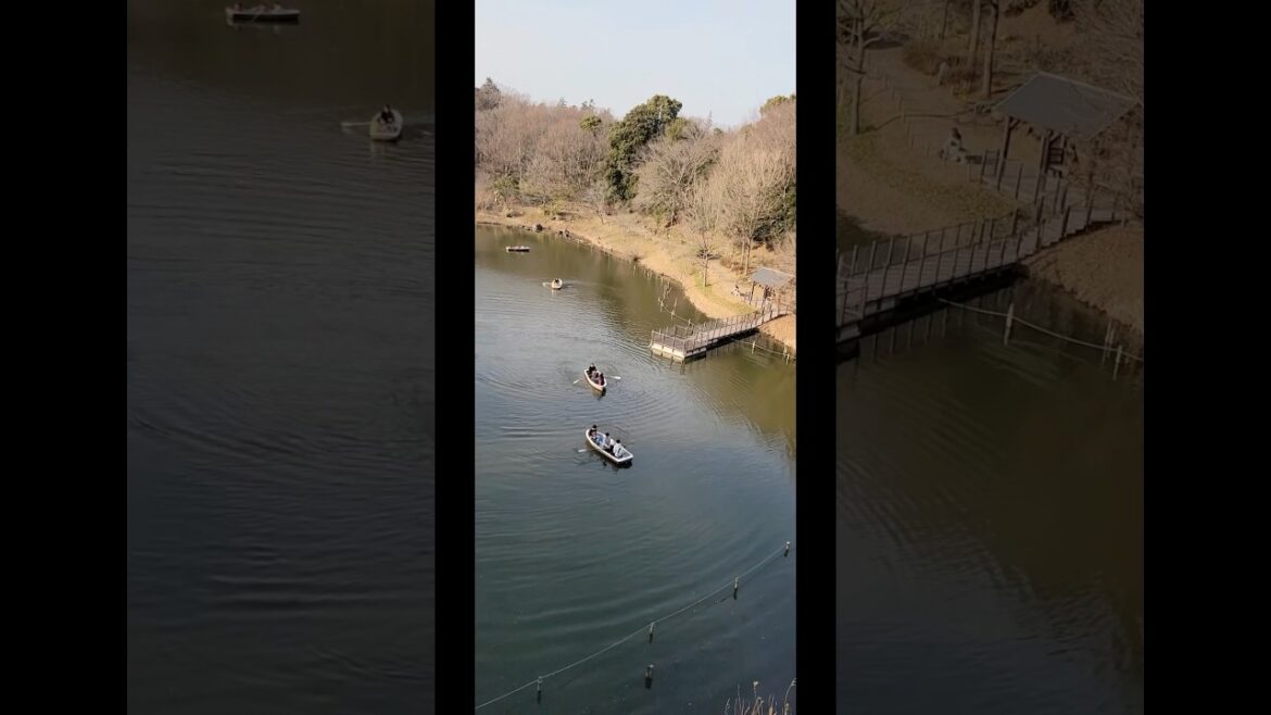 Visit to Funabashi Anderson Park in Chiba. #japan #park #chiba #photography #travel #animals#winter