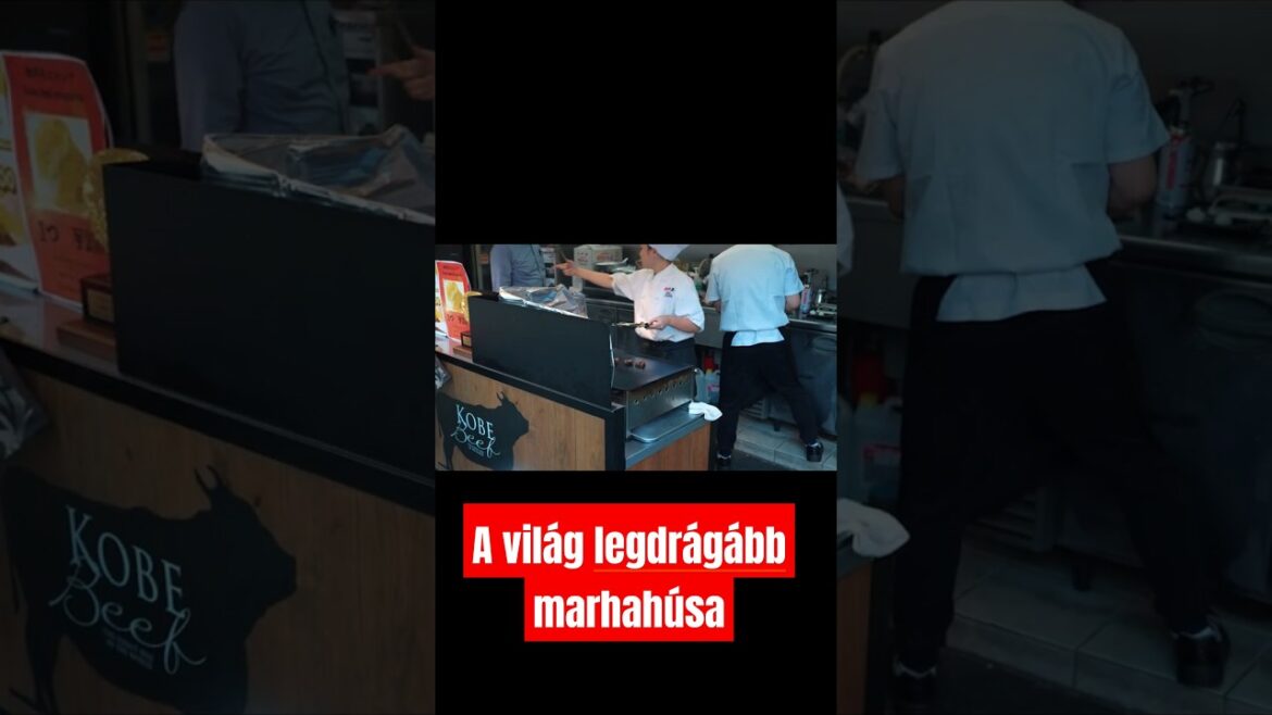 Megkostoltuk a világ egyik legdrágább húsát !#kobe #kbebeef #japaneselanguage #travel
