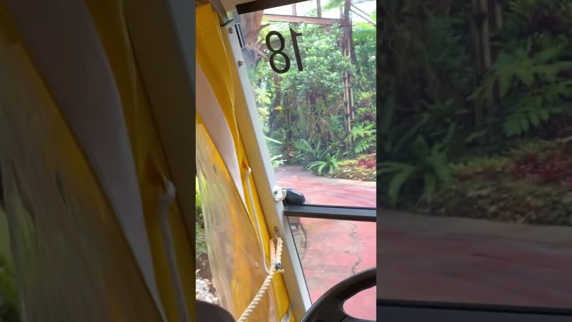 #painapple#garden#nago#okinawaisland